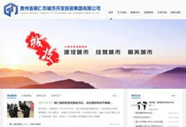 滨海城市开发投资集团有限公司