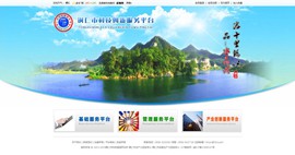 滨海科技创新服务平台